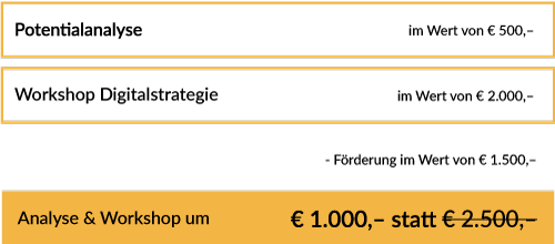 KMU Digital Infografik